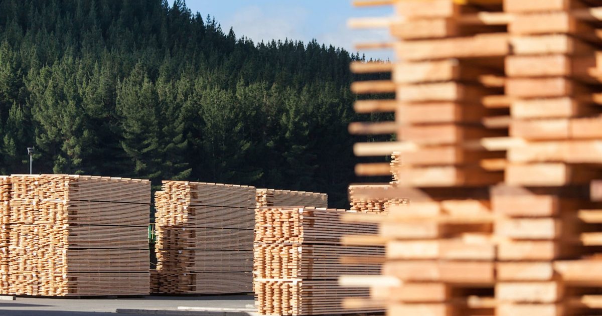Choosing the Right Timber to Meet Building Code Requirements