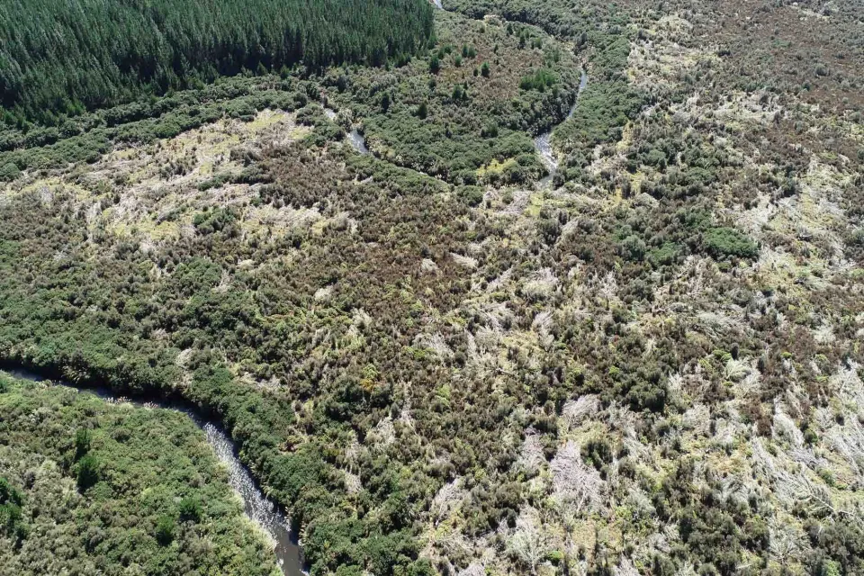 Timberlands Sustainable Forests Abodo Wood