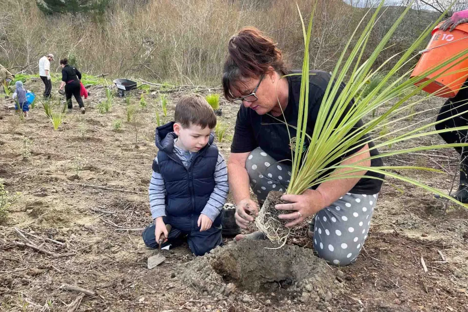 Tangoio Forest Pan Pac Sustainable Timber Abodo Wood 01