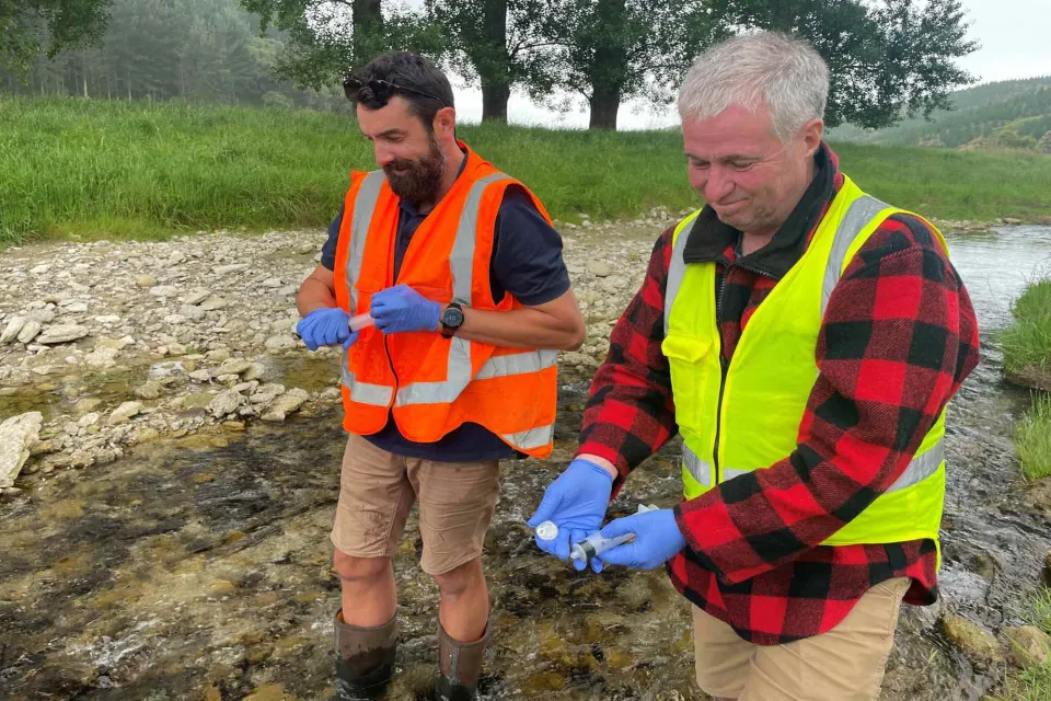 Tangoio Forest Pan Pac Sustainable Timber Abodo Wood 03