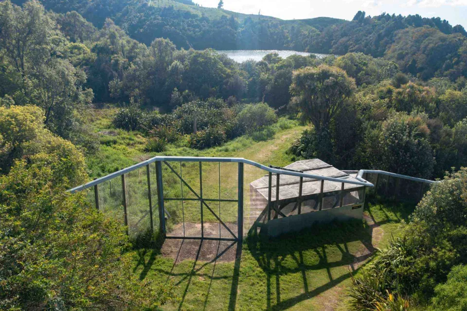 Tangoio Forest Pan Pac Sustainable Abodo Wood