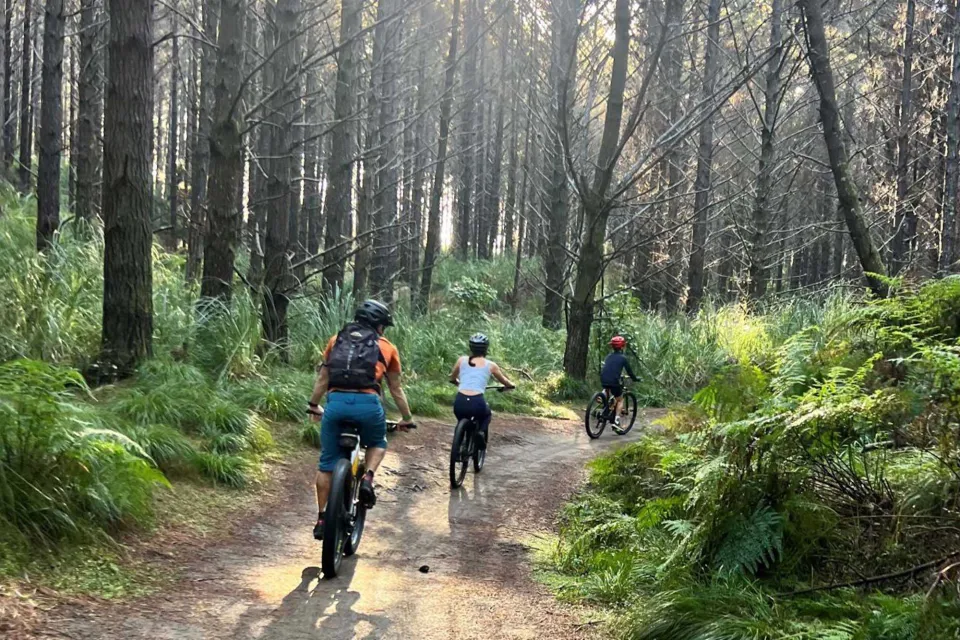 Mountain Biking Sustainable Forest Abodo Wood 01