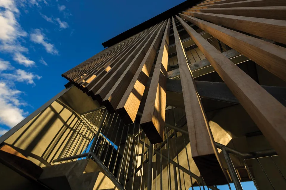 Project Revisit Waimarama Surf Club Abodo Wood 1