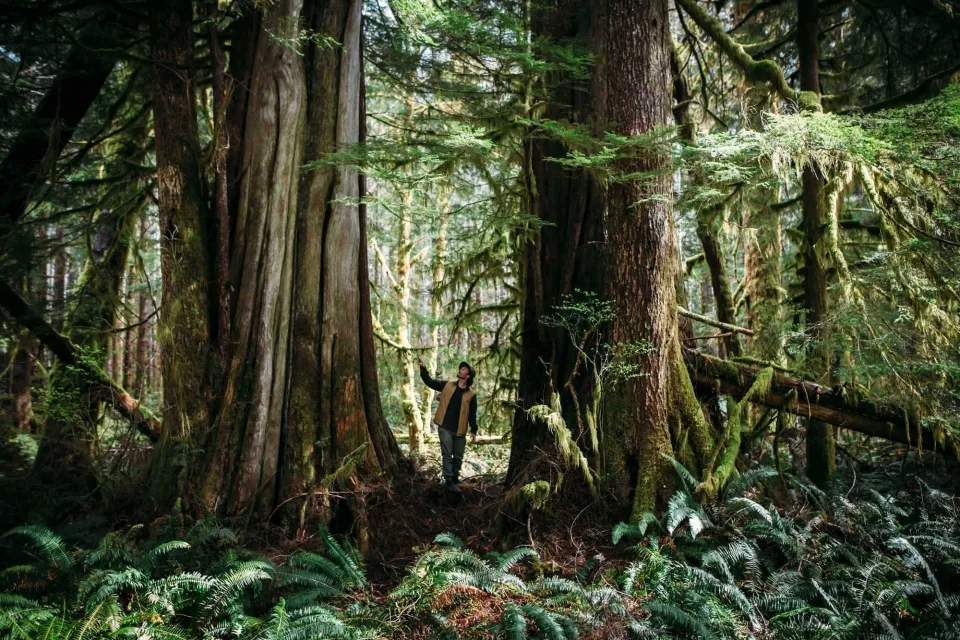 Joel Caldwell Nerdy About Nature 02