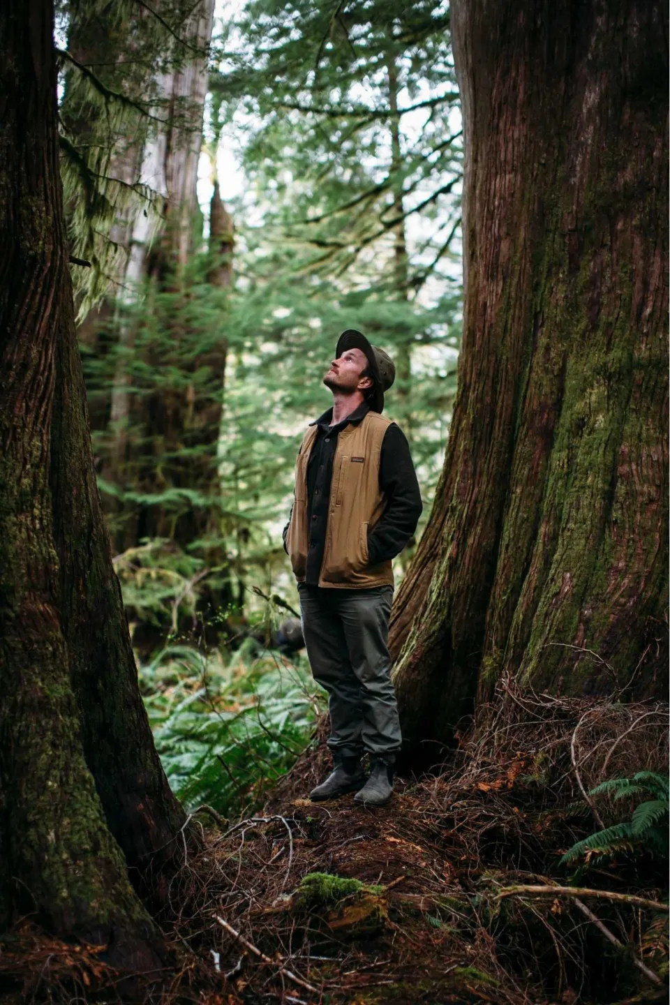 Ross Reid Nerdy About Nature Abodo Wood 01