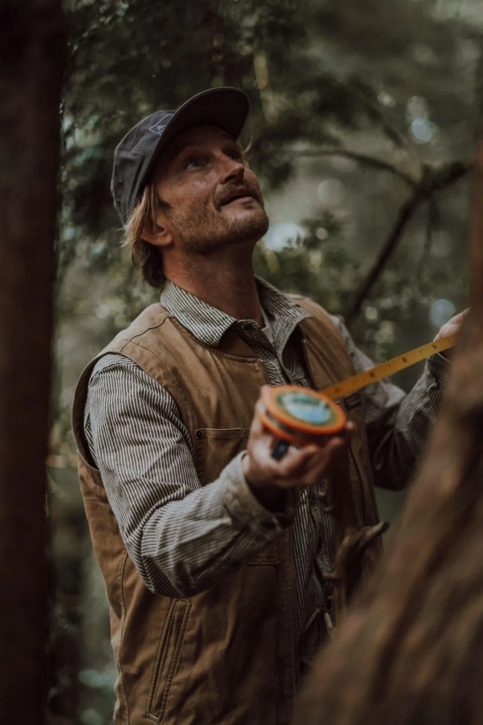 Ross Reid Nerdy About Nature Abodo Wood 02