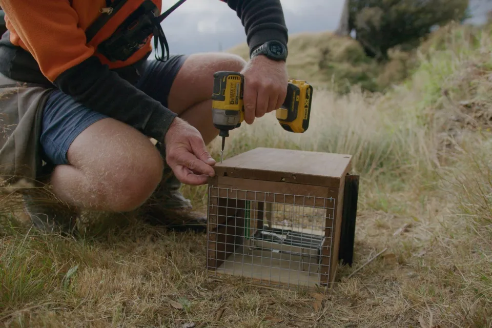 Pest Traps Pan Pac Abodo 01