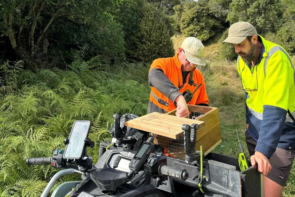 Pest Traps Pan Pac Abodo 04