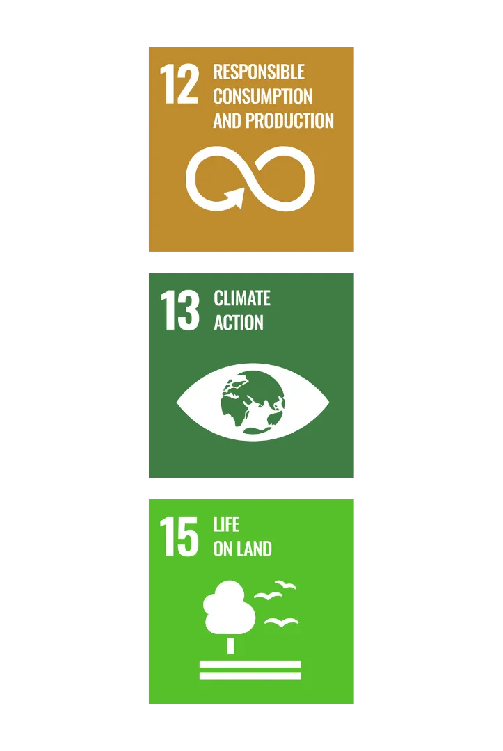 ENVIRONMENTAL UNSDG 121315 Portrait Abodo Wood 01