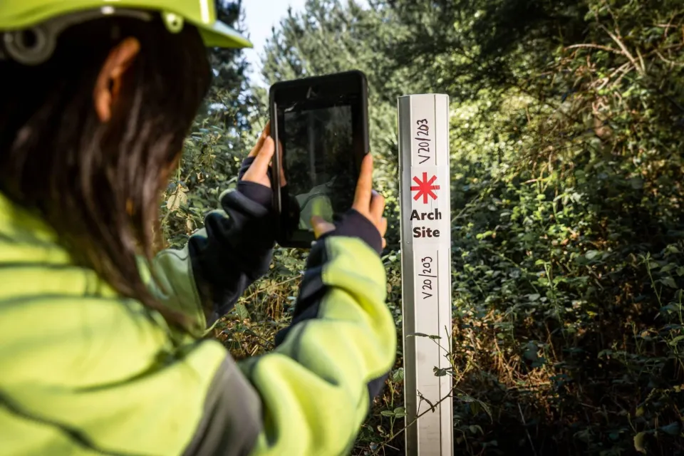 Anna Survey Site Tangoio Forest Abodo Wood 01