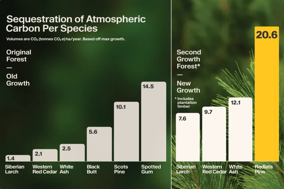 Abodo Wood Carbon Sequestration