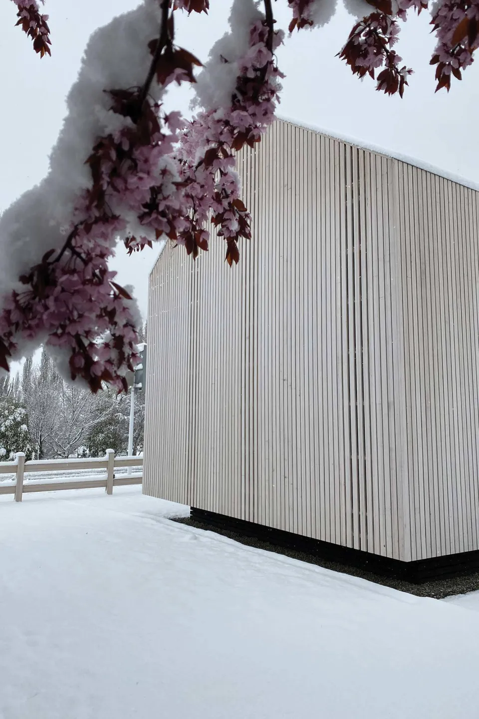 Reducing Carbon Footprint Cardona Cabin Abodo Wood 1