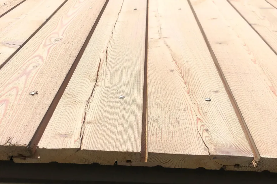 Timber surface checking Siberian Larch