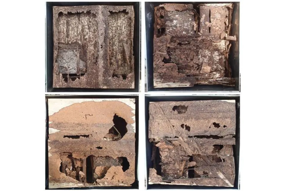 Performance of European Thermally Modified Softwood in Australian Conditions Abodo Wood 2