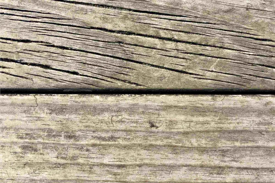 Grain Orientation and Timber Performance Abodo Wood 1