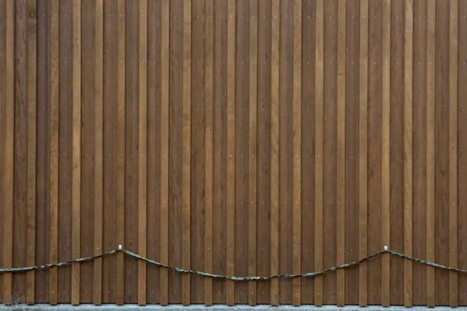 Hardwoods vs softwoods