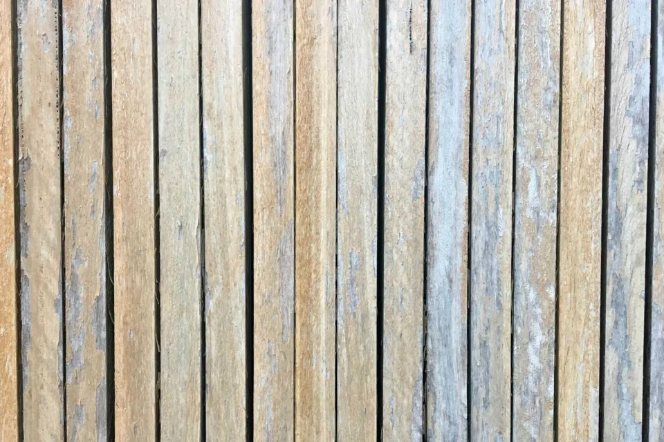 Film forming transparent wood coatings