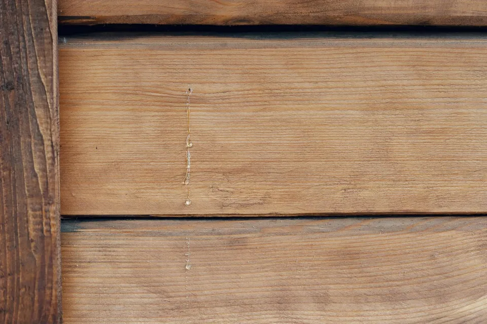 Resin bleed can be troublesome Abodo Wood