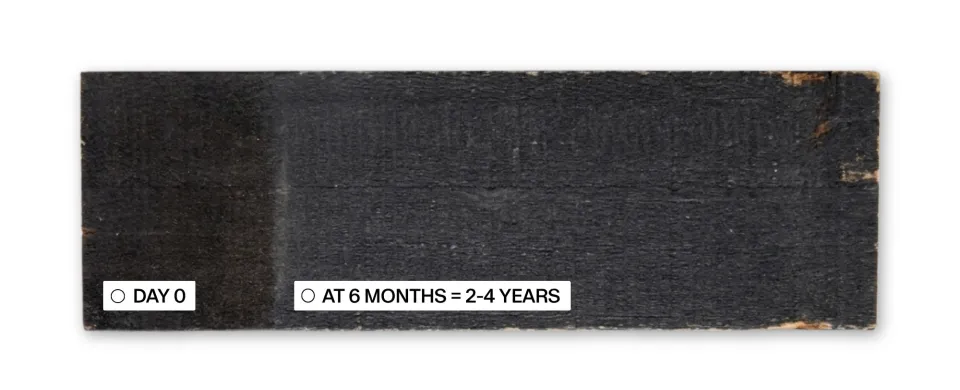 Nero Sample 3 6 Months Protector Testing Abodo Wood