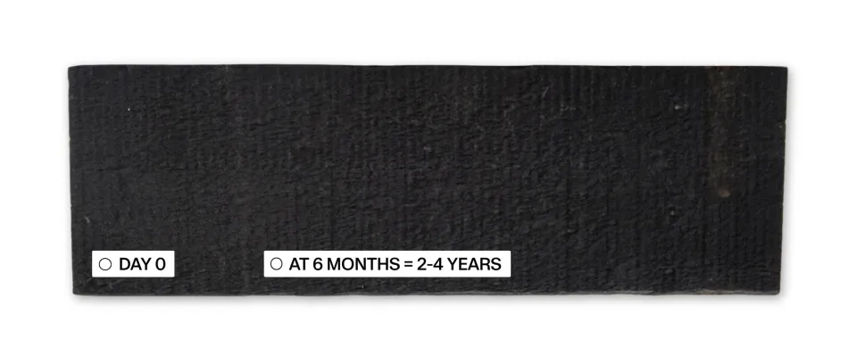 Nero Sample 6 6 Months Protector Testing Abodo Wood