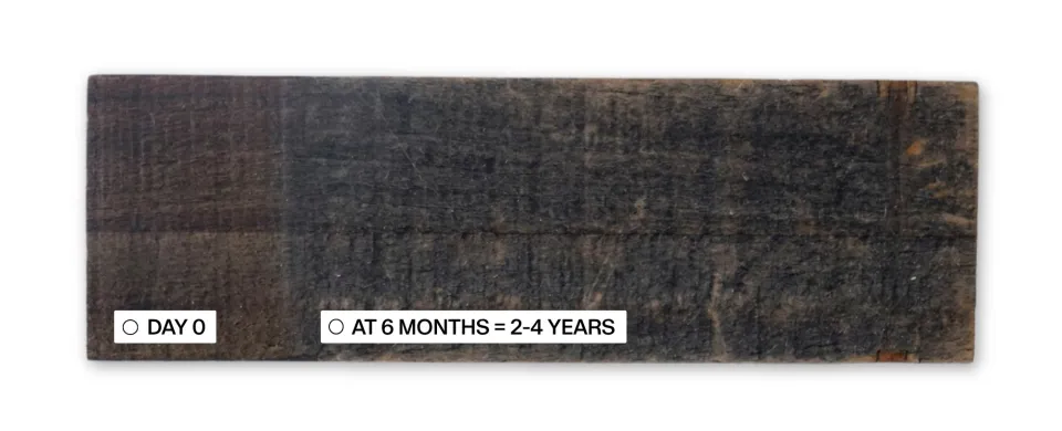 Premium Black Stain Sample 14 6 Months Protector Testing Abodo Wood