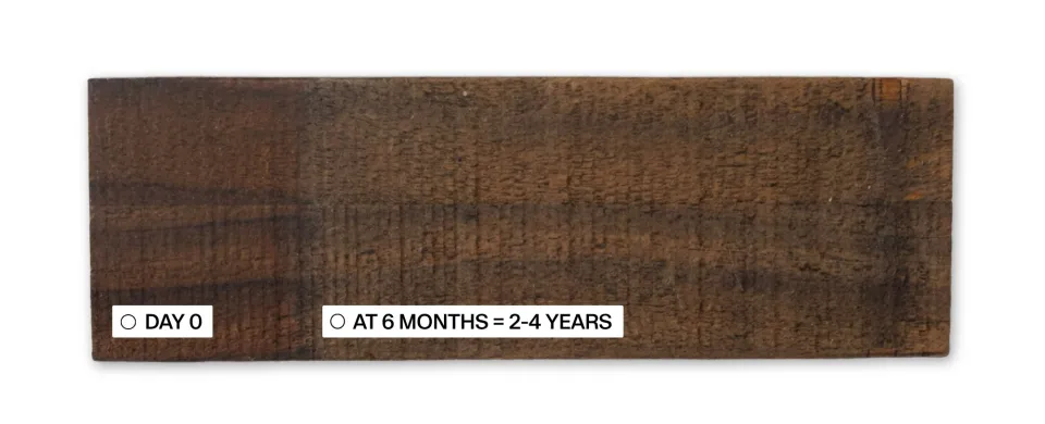 Premium Copper Stain Sample 12 6 Months Protector Testing Abodo Wood