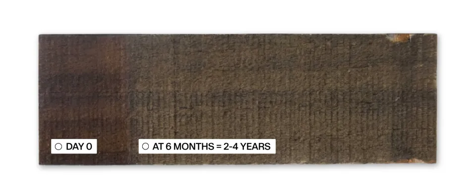 Teak Sample 2 6 Months Protector Testing Abodo Wood