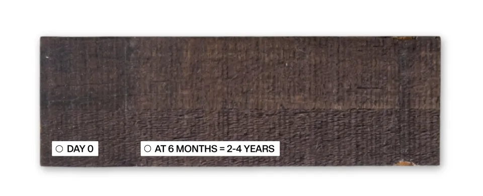 Teak Sample 5 6 Months Protector Testing Abodo Wood