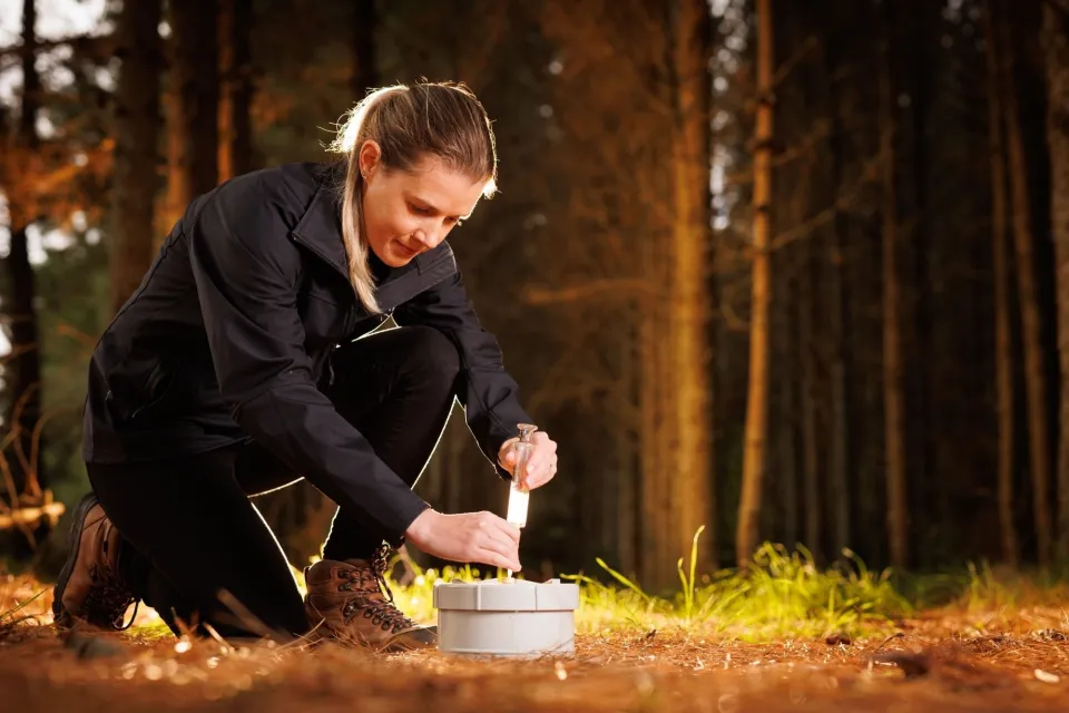 Methane Research Article Abodo Wood 01
