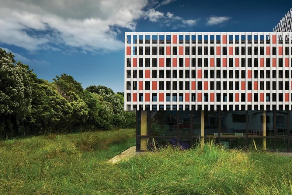 Project Revisit Te Ara a Tāwhaki Abodo Wood 14