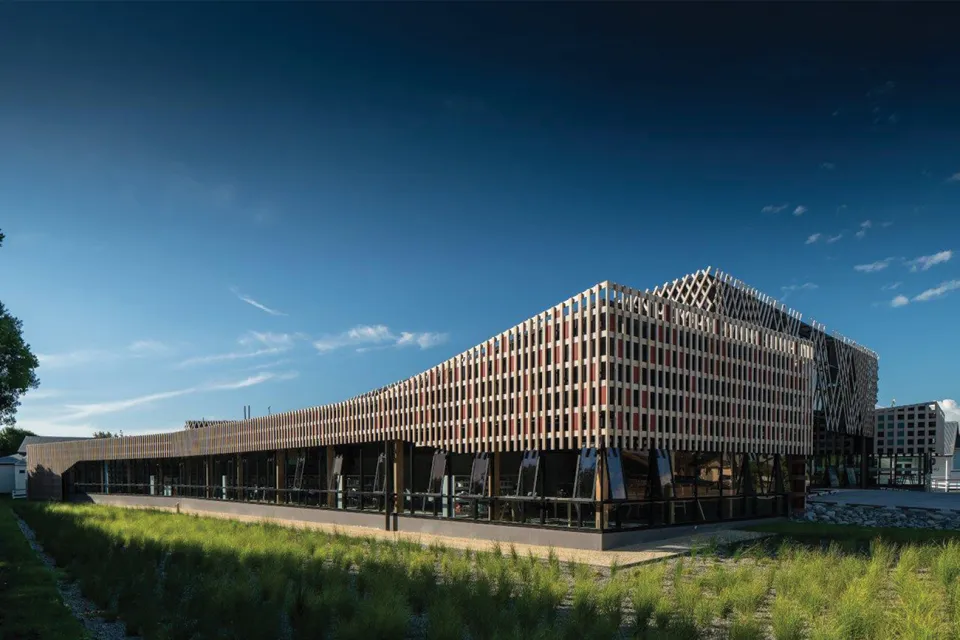 Project Revisit Te Ara a Tāwhaki Abodo Wood 12