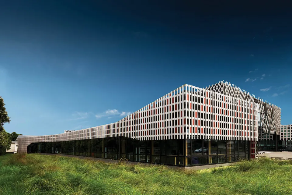 Project Revisit Te Ara a Tāwhaki Abodo Wood 13