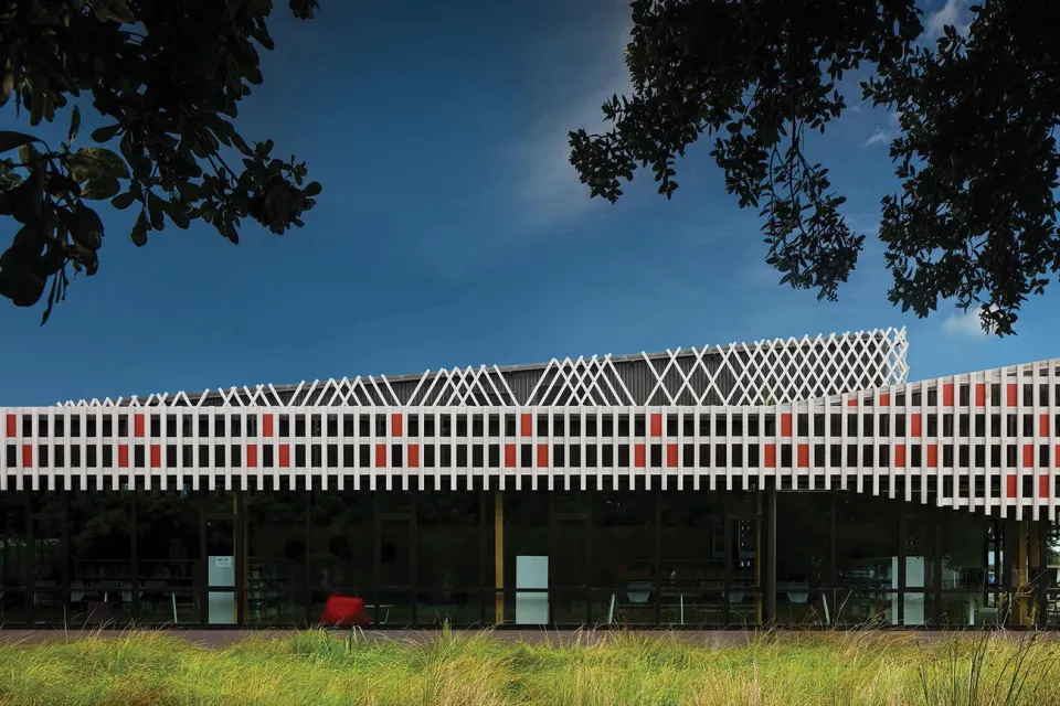 Project Revisit Te Ara a Tāwhaki Abodo Wood 11