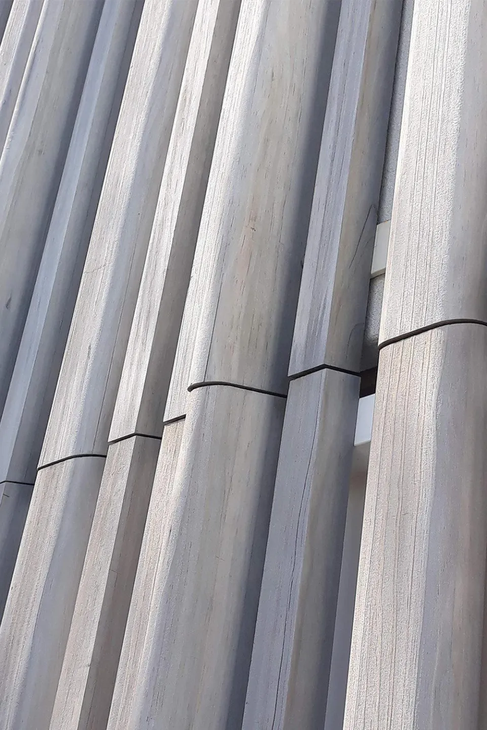 Project Revisit Gold Coast Houses Abodo Wood 2