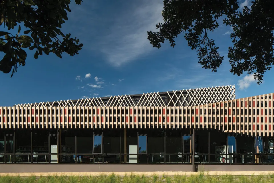 Project Revisit Te Ara a Tāwhaki Abodo Wood 10