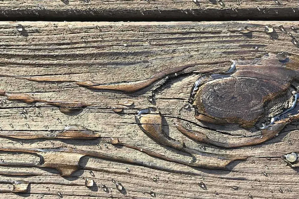 How Often Do I Need To Re coat Exterior Timber Abodo Wood