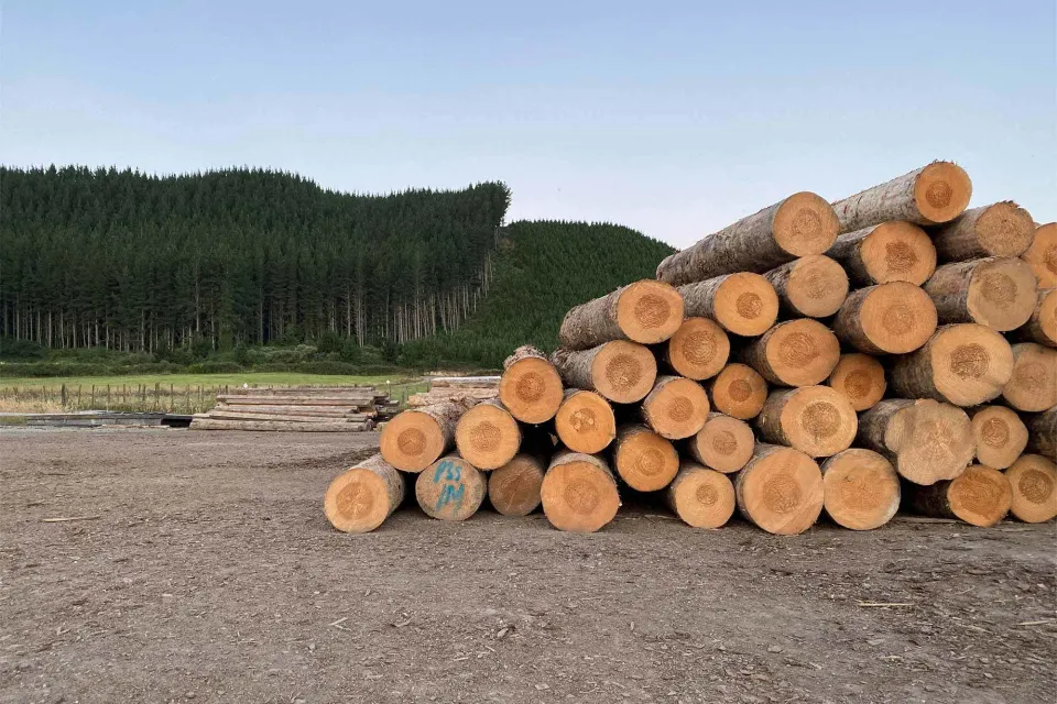 Localised Log Processing