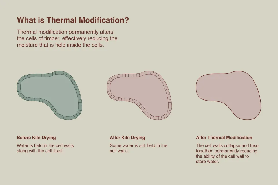 What is thermally modification thermally modifified timber Abodo Wood