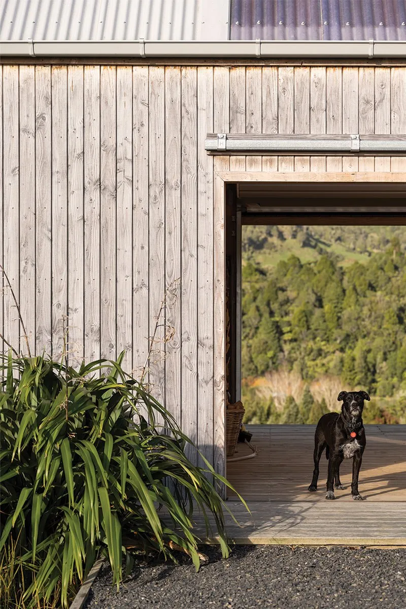Revisiting Karangahake House Abodo Wood 6