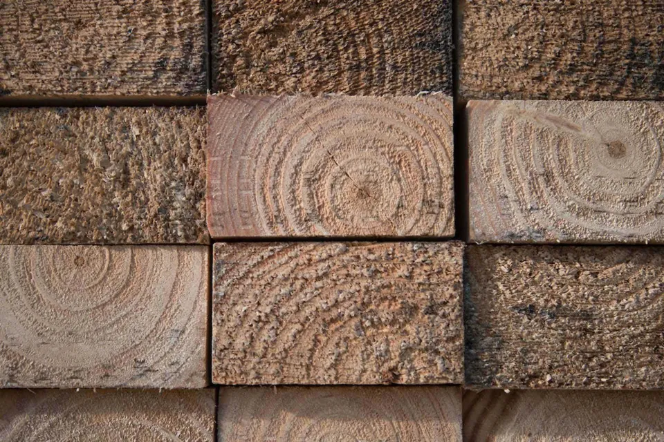 Sustainability Matters at Abodo Wood 02