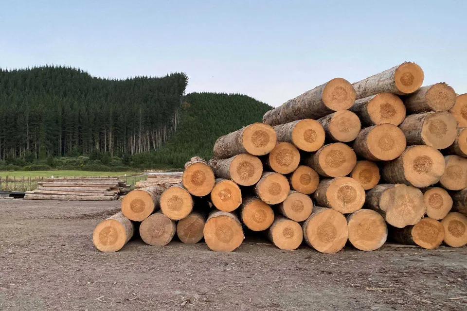 Abodo Wood Sustainable Timber Forests Vulcan Timber 02