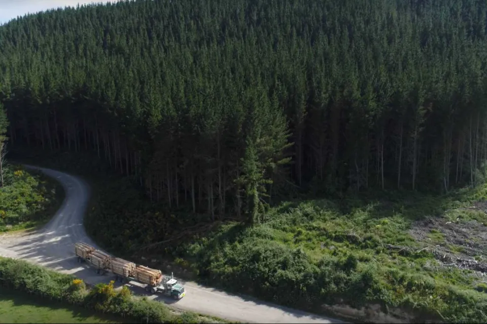 Kaingaroa Forest Bay of Plenty New Zealand - Abodo Wood  - Vulcan Timber