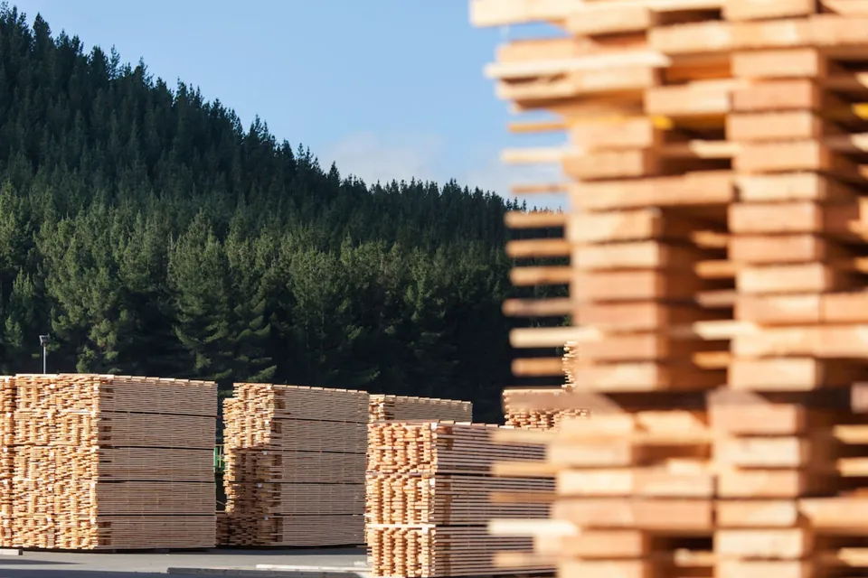 Carefully Crafted Timber Abodo Wood 04