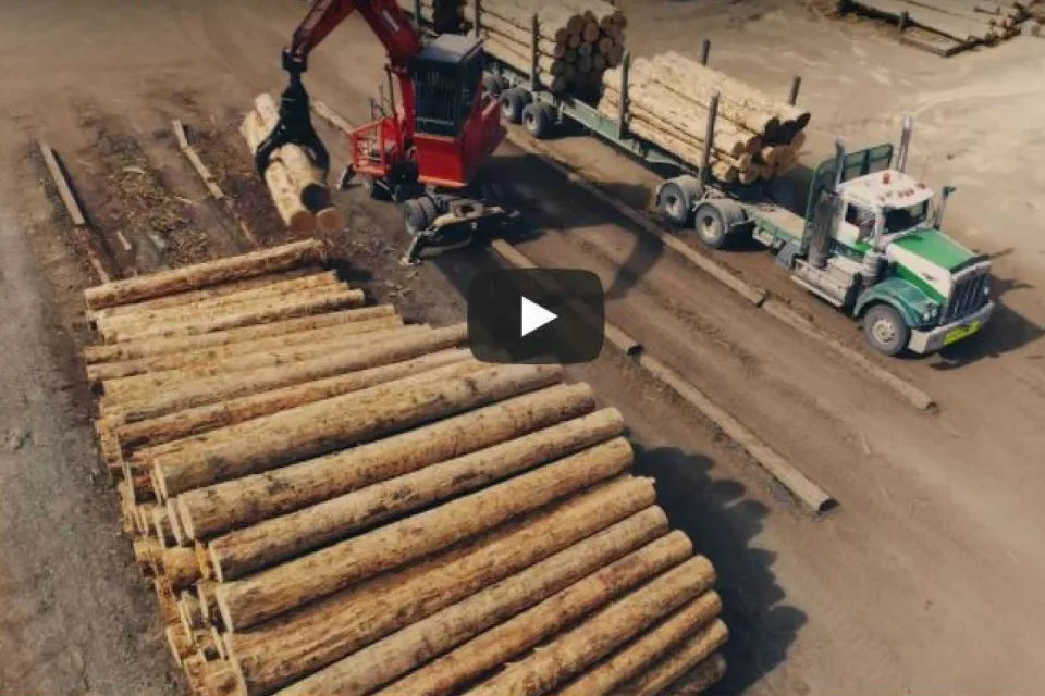 The Future of Wood Abodo Wood
