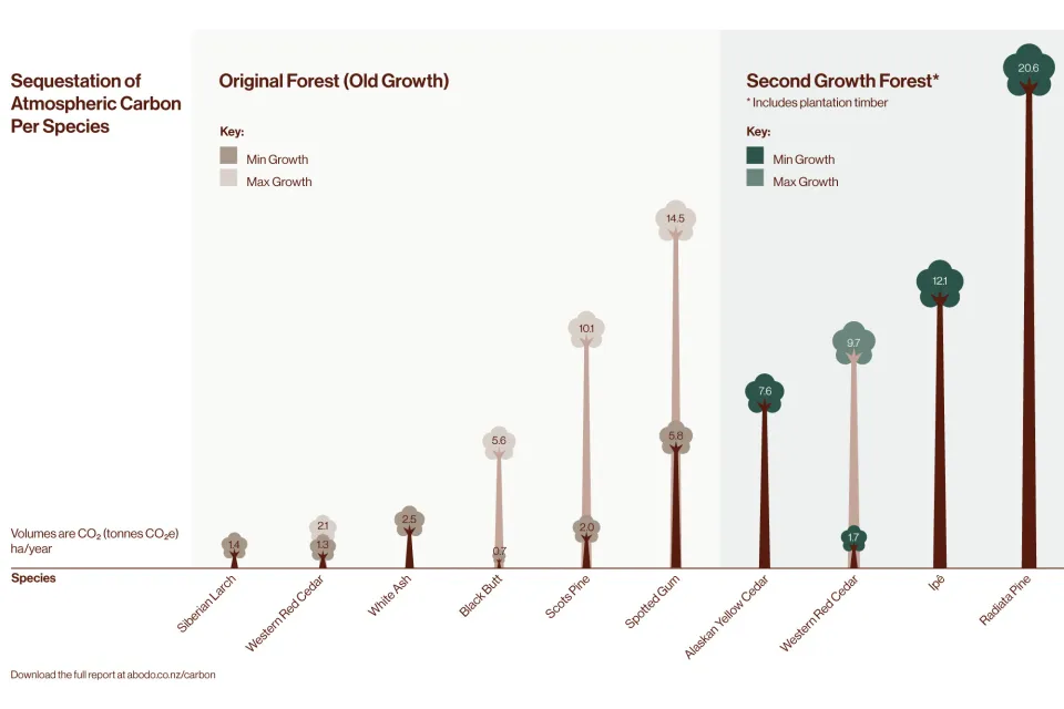 Biomass Growth and Carbon Sequestration A Comparison of Tree Species Abodo Wood