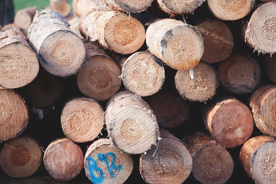 Abodo Wood - Carefully Crafted Timber