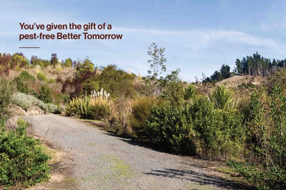 Abodo Christmas Pan Pac Donation