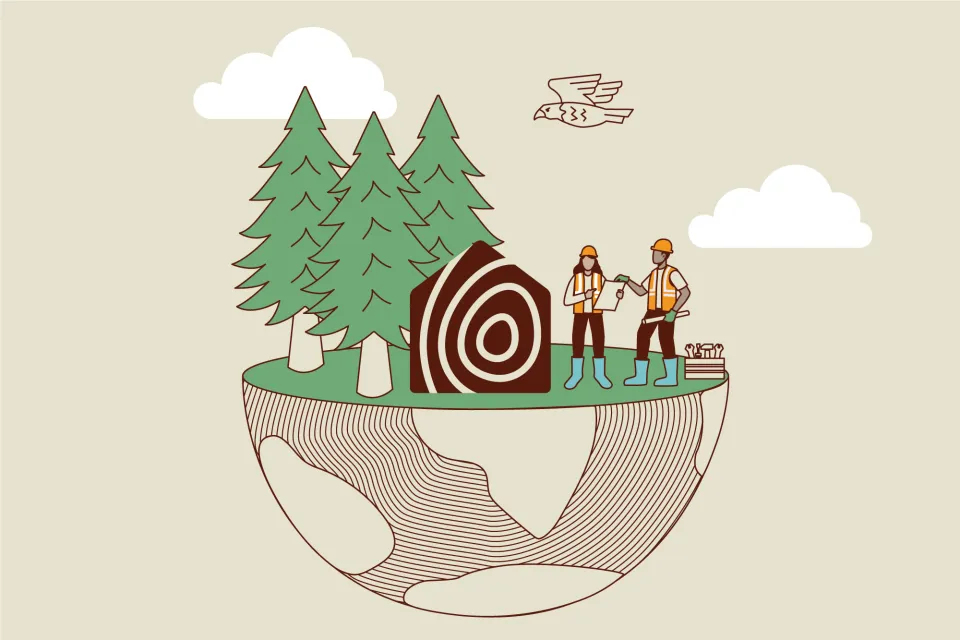 Abodo Xmas Gif NZ 3 B 1