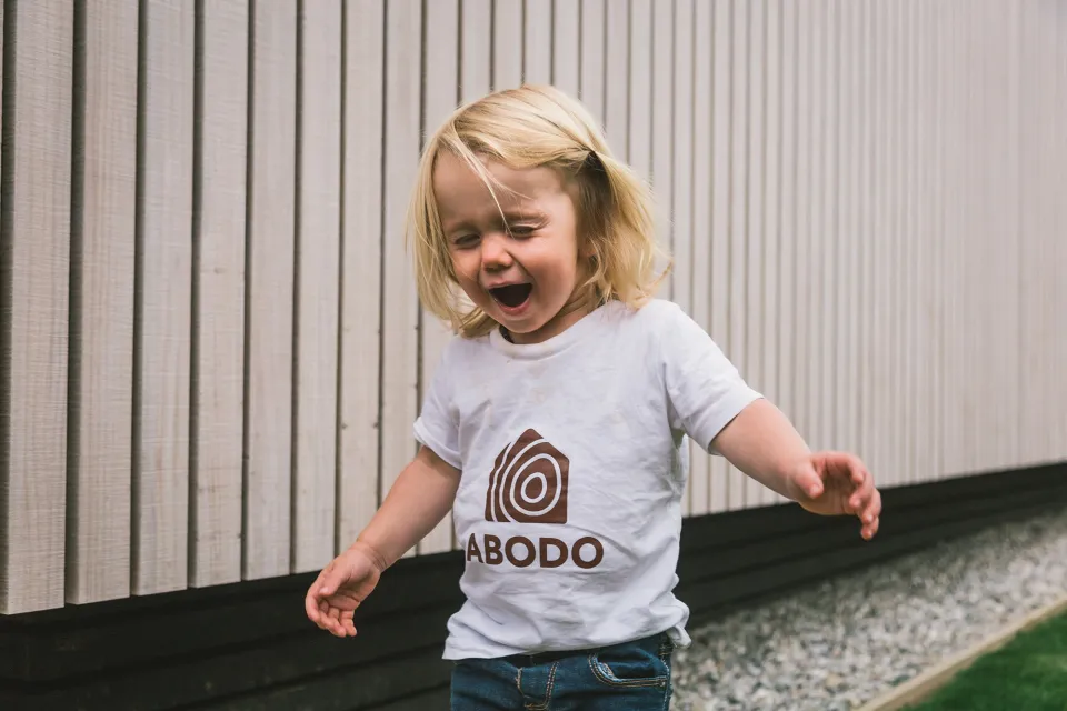 Sustainable eco timber showcase launches in Cardrona Abodo Wood 18