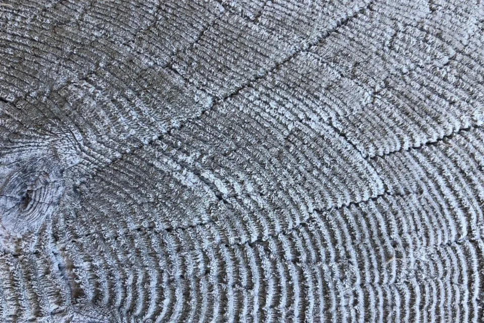 Salt is in the air 1